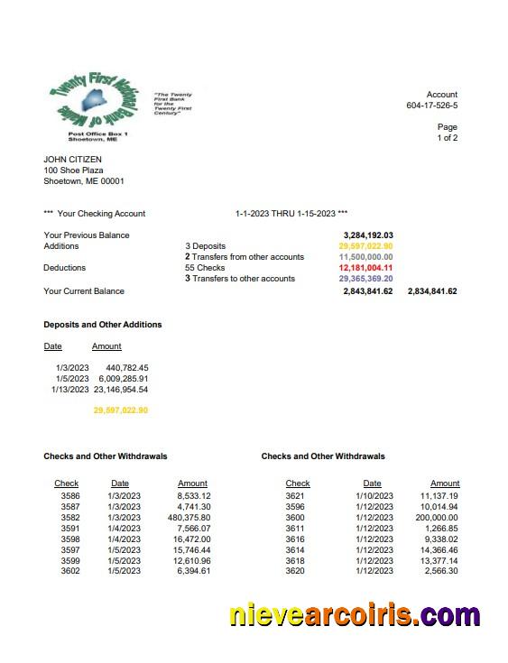 Premium USA Twenty First National Bank Of Maine Bank Statement Word And PDF Template, 2 Pages