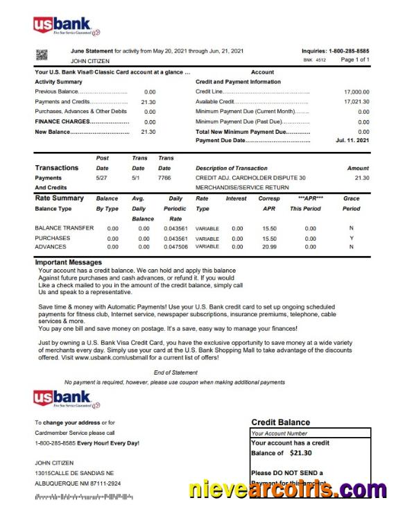 Premium USA U.S. Bank Credit Card Statement Template In Excel And PDF File Format