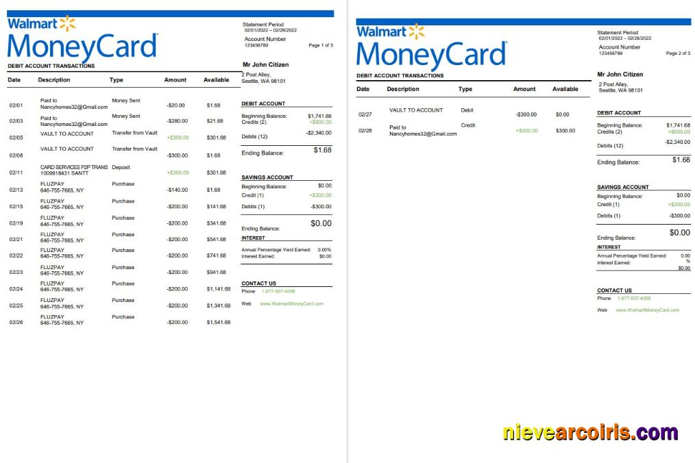 USA Walmart MoneyCard Bank Statement 3 Pages Photolook