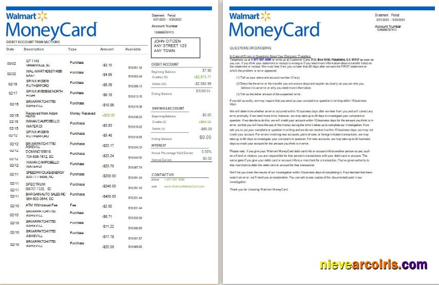 USA Walmart MoneyCard Bank Statement Word And PDF, 2 Pages Preview
