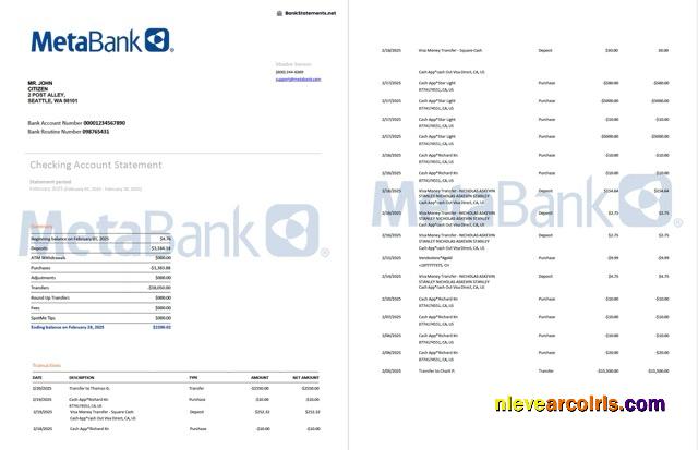 Professional USA Washington Metabank Account Statement Word And PDF Template, 2 Pages
