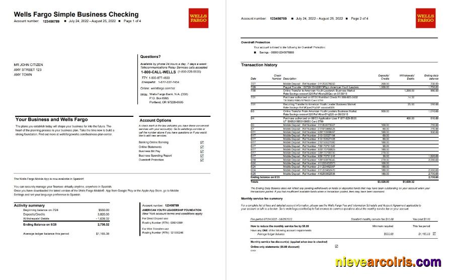 USA Wells Fargo Bank Simple Business Checking 4p Photolook