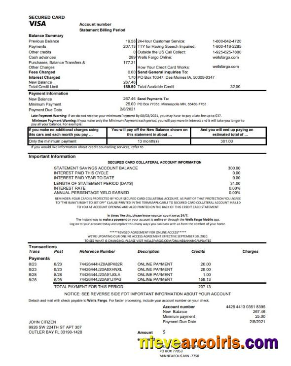 USA Wells Fargo Bank Credit Card Statement Excel Pdf Template