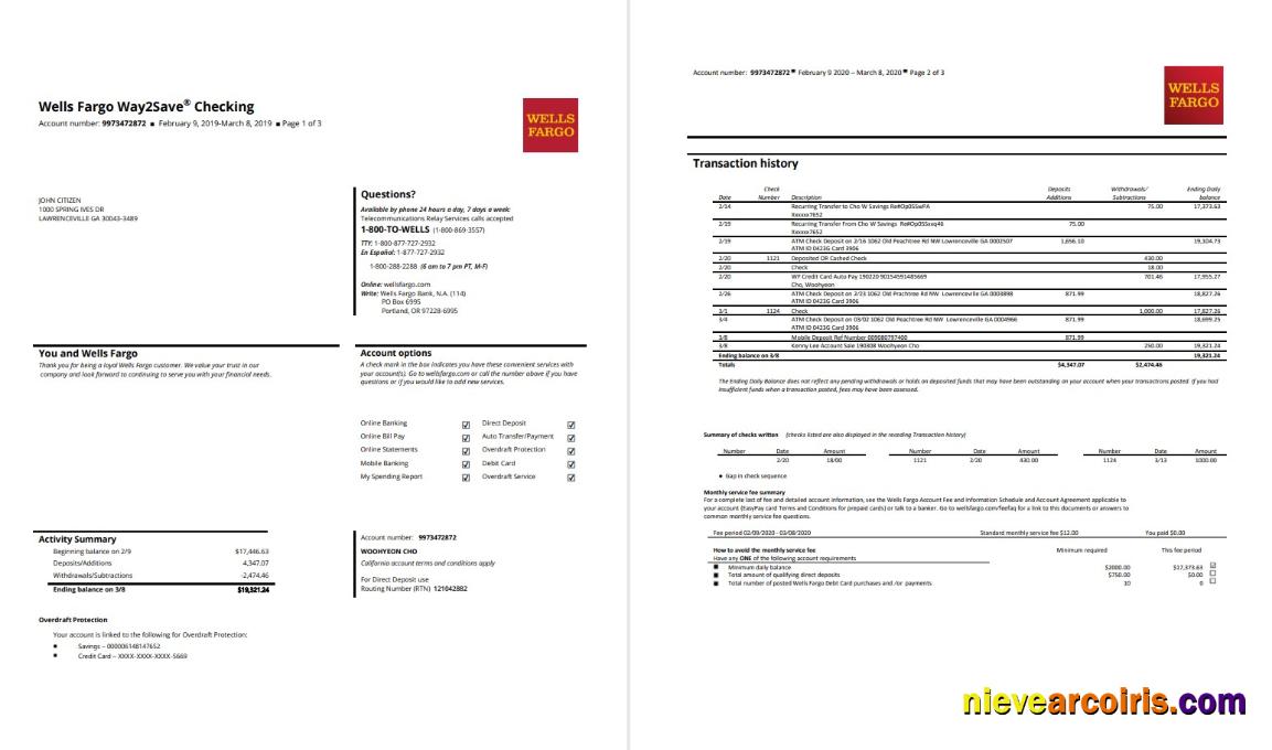 USA Wells Fargo Bank Statement 3 Pages Template