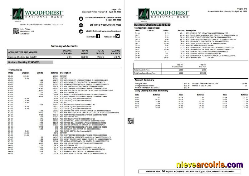 USA Woodforest 3 Pages Template