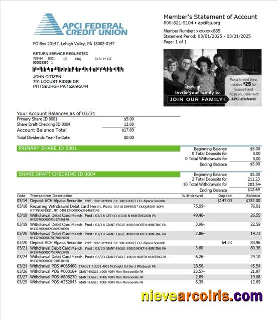 Realistic USA APCI Federal Credit Union Statement Of Account Word And PDF Template
