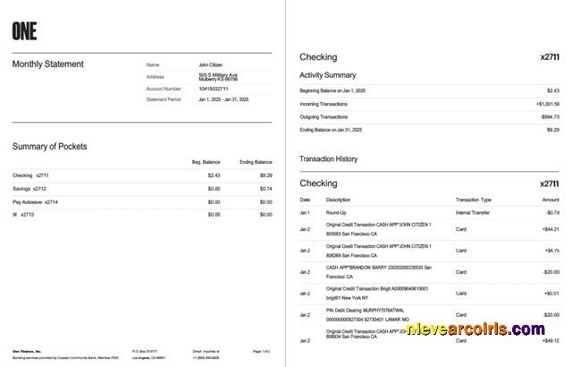 Premium USA One Finance, Inc. Bank Statement Word And PDF Template, 2 Pages