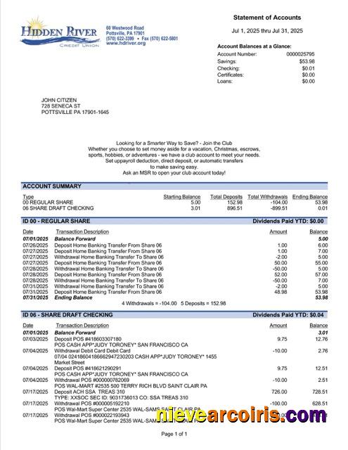 Premium USA Pennsylvania Hidden River Credit Union Statement Of Account Word And PDF Template