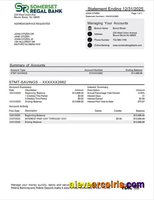 Editable USA Somerset Regal Bank Account Statement Word And PDF Template