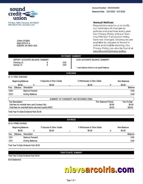 Premium USA Washington Sound Credit Union Account Statement Word And PDF Template