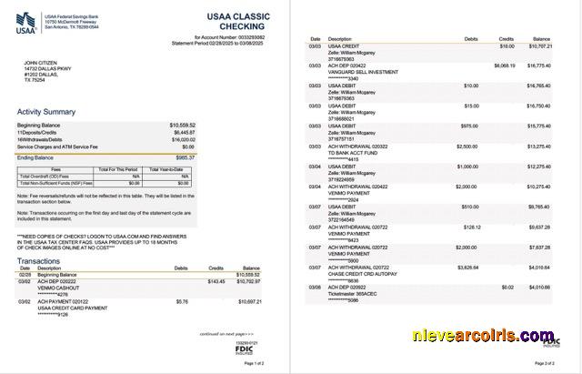 Premium USAA Federal Savings Bank Statement Word And PDF Template, 2 Pages