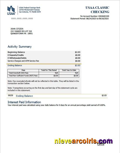Premium USAA Federal Savings Bank Statement Word And PDF Template, Version 2
