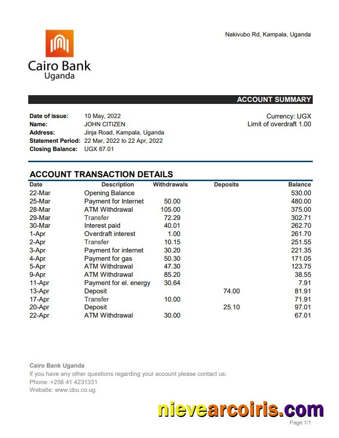 Uganda Cairo Bank Statement Sample