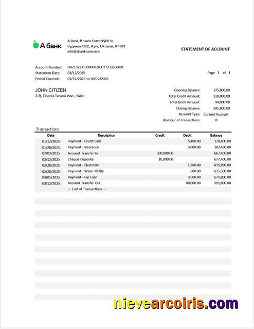 Realistic Ukraine A Bank Statement Of Account Word And PDF Template