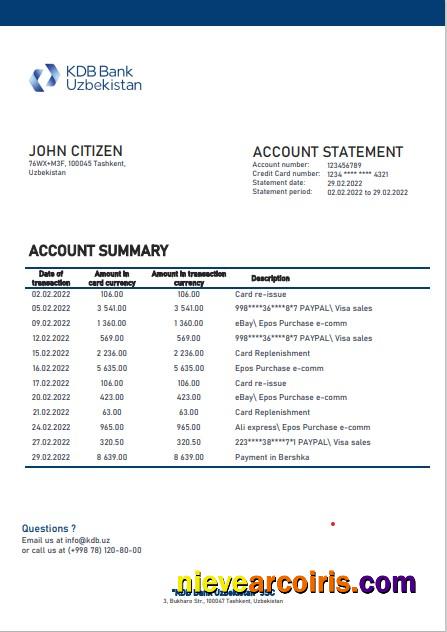 Realistic Uzbekistan KDB Bank Statement Template In Word And PDF Format