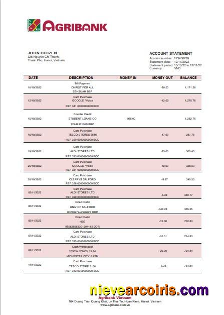 Premium Vietnam Agribank Bank Statement Template In Word And PDF Format