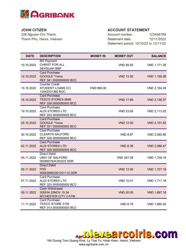 Vietnam Agribank Bank Statement Template