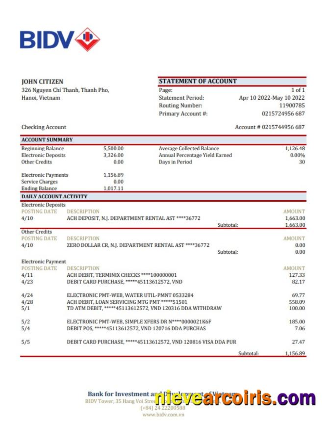 Vietnam BIDV Bank Statement Photolook