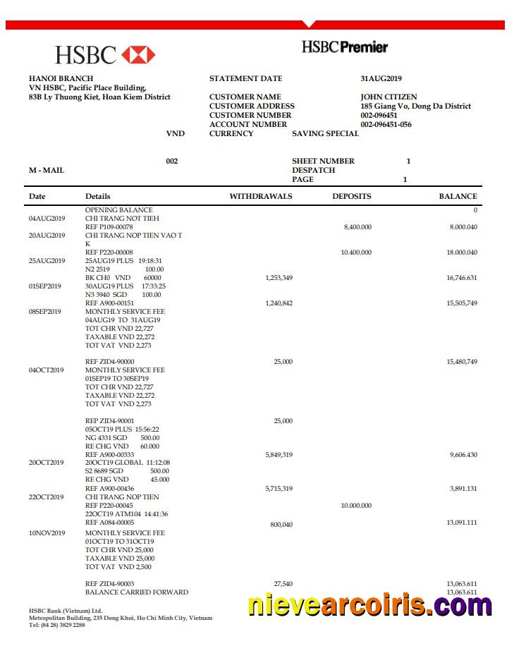 Vietnam HSBC Bank Statement Photolook