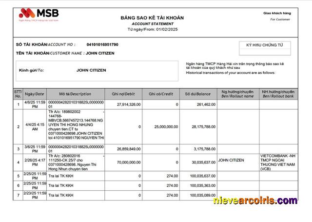 Premium Vietnam MSB Bank Account Statement Word And PDF Template