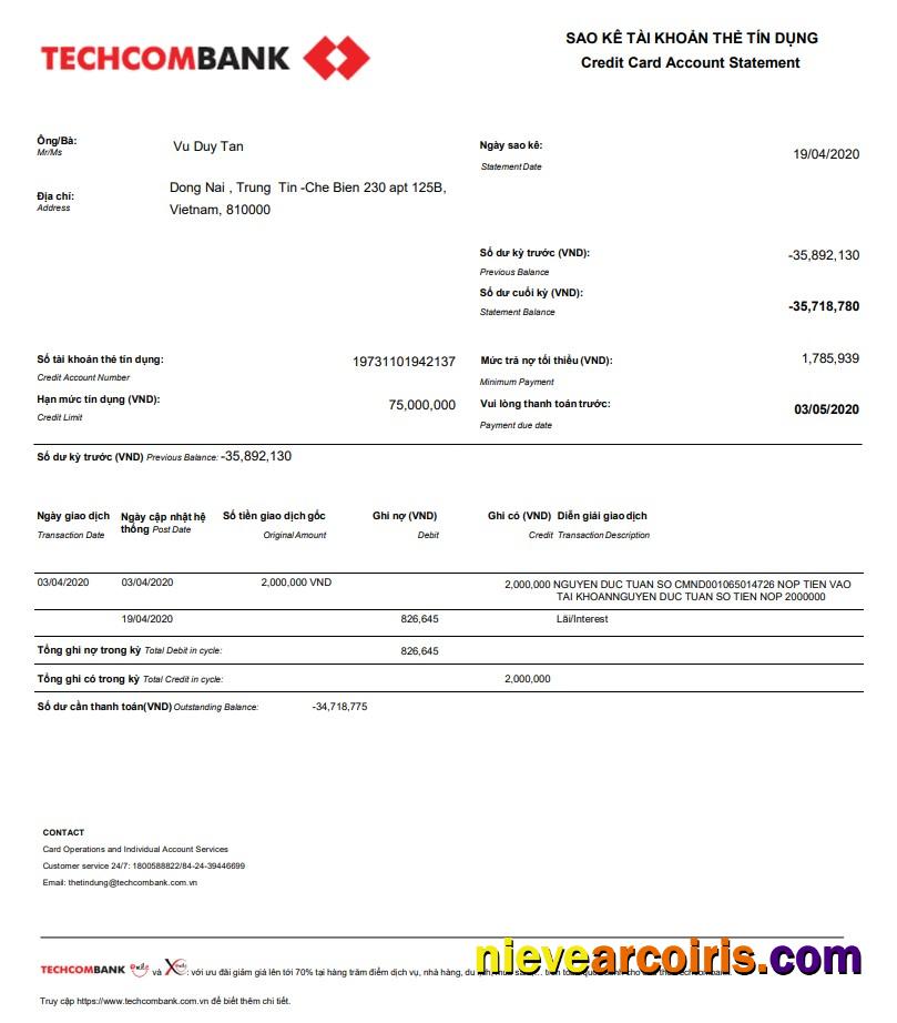 Vietnam Techcombank Statement Sample