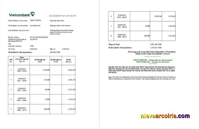 Editable Vietnam Vietcombank Statement Of Account Word And PDF Template, 2 Pages