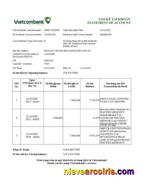 Premium Vietnam Vietcombank Statement Of Account Word And PDF Template, Version 2