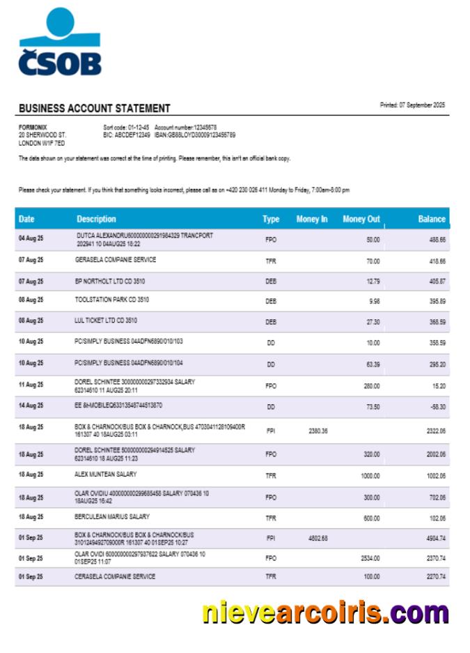 Československá Obchodní Banka Business Bank Company Statement Word And PDF Format Preview