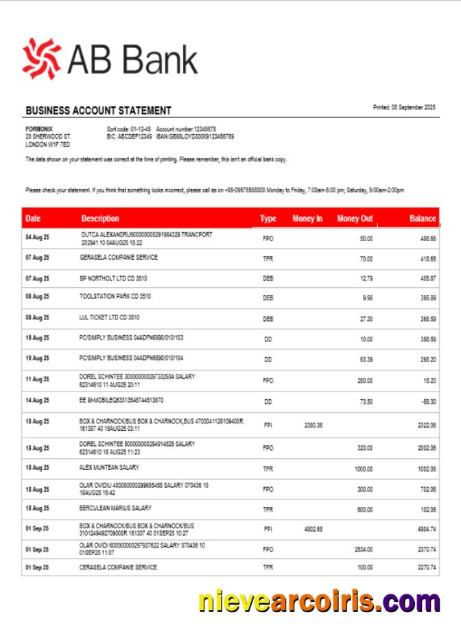 Professional AB Organization Checking Account Statement Word And PDF Template