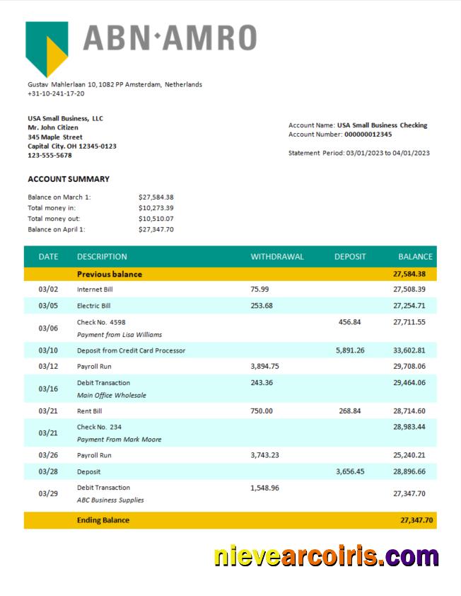 Professional ABN Amro Bank Company Checking Account Statement Word And PDF Template
