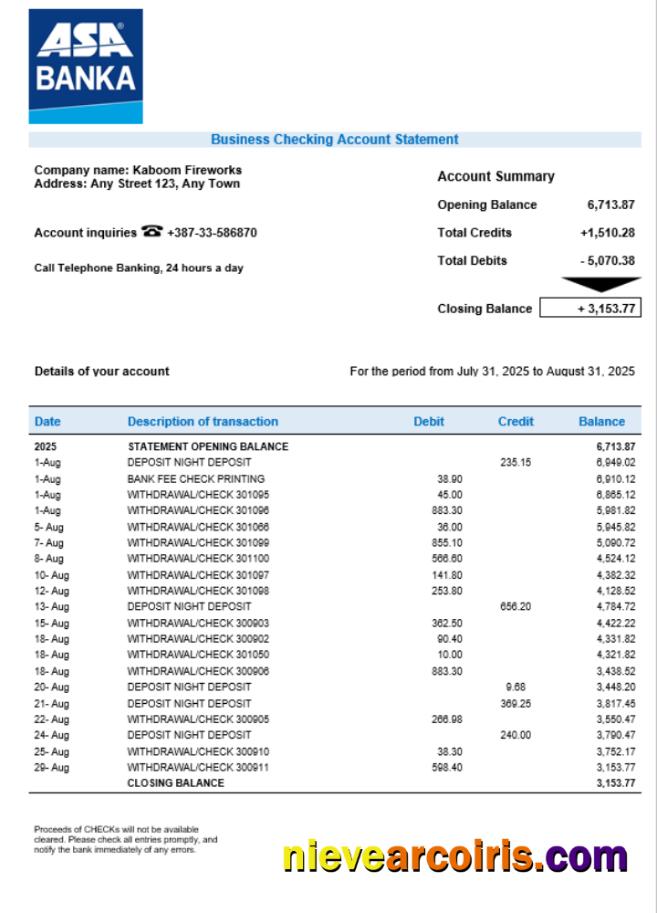 Premium ASA Banka Company Checking Account Statement Word And PDF Template