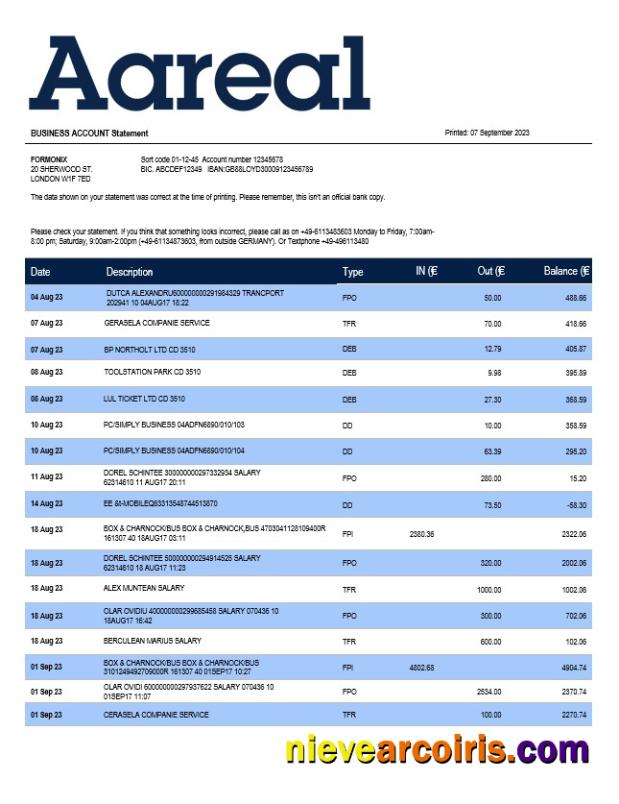 Editable Aareal Bank Firm Account Statement Word And PDF Template
