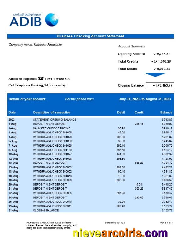 Premium Abu Dhabi Islamic Bank Company Checking Account Statement Word And PDF Template