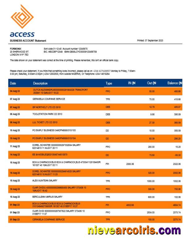 Editable Access Bank Company Checking Account Statement Word And PDF Template