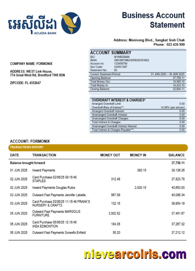 Acleda Company Statement Word And PDF Format Template