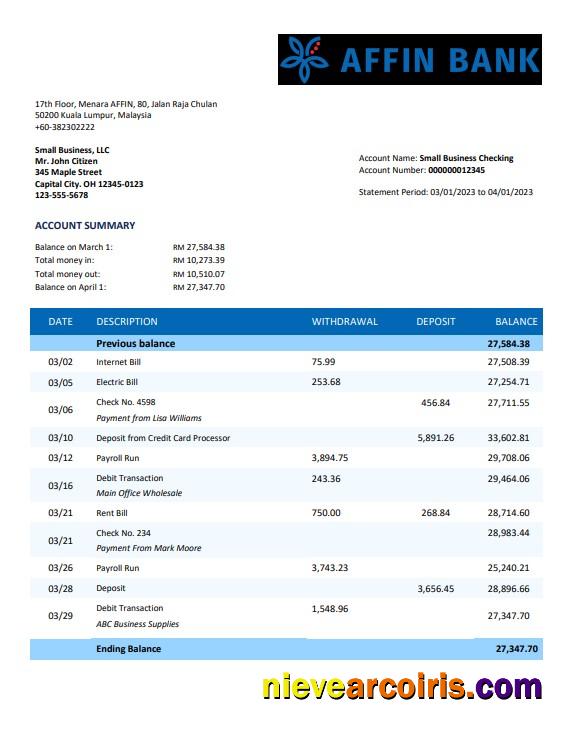 Editable Affin Bank Company Checking Account Statement Word And PDF Template