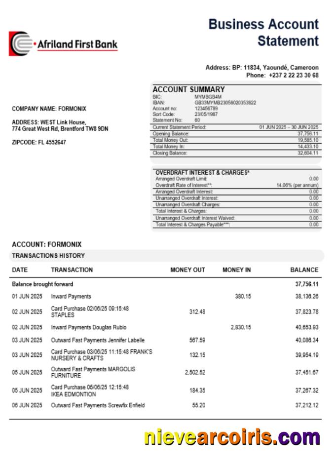 Realistic Afriland First Organization Checking Account Statement Word And PDF Template