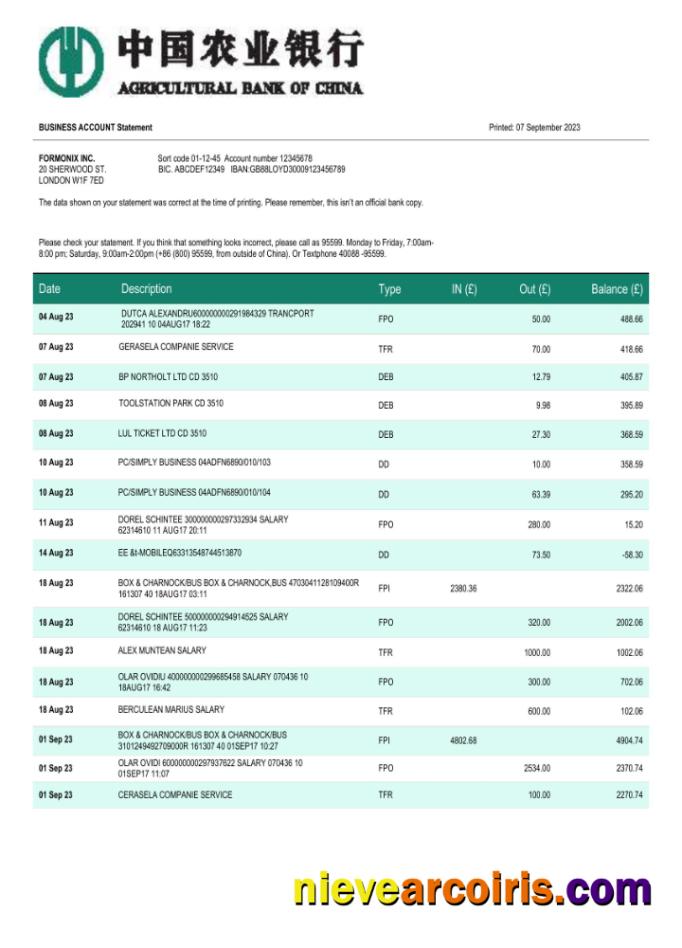Professional Agricultural Bank Of China Business Account Statement Word And PDF Template