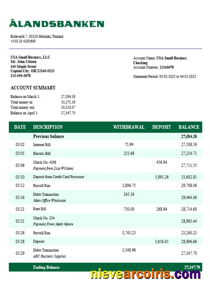 Editable Aland Bank Firm Account Statement Word And PDF Template