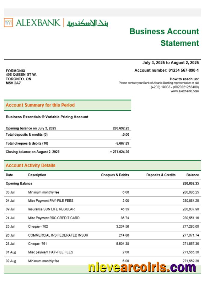 Alex Bank Company Statement Word And PDF Format Photolook