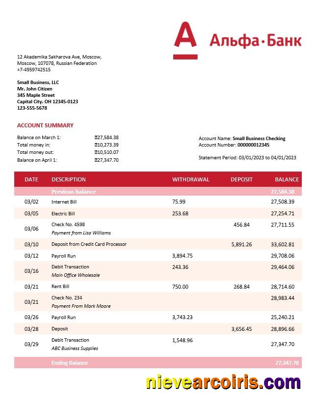 Editable Alfa Bank Organization Checking Account Statement Word And PDF Template