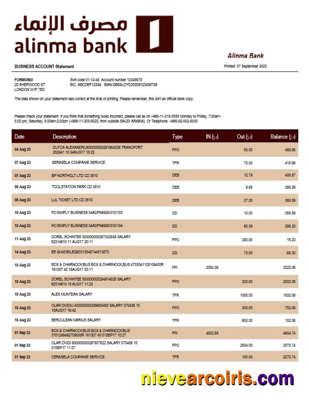Editable Alinma Bank Company Statement Word And PDF Template