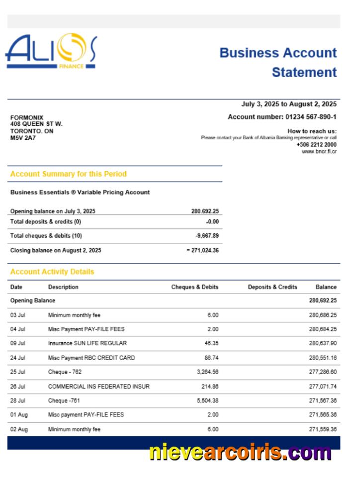 Alios Finance Business Firm Account Statement Word Snd PDF Format Preview