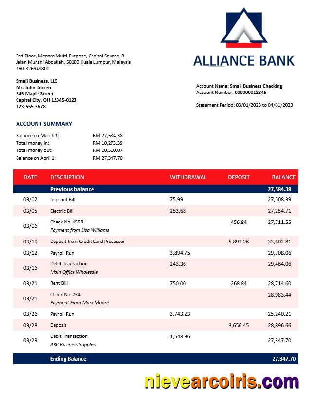 Professional Alliance Bank Enterprise Account Statement Word And PDF Template