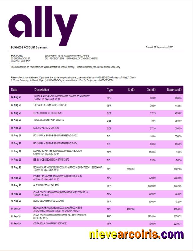 Professional Ally Bank Enterprise Statement Word And PDF Template