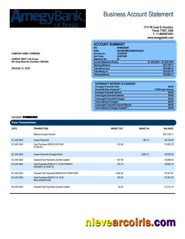 Premium Amegy Corporation Bank Organization Account Statement Word And PDF Template