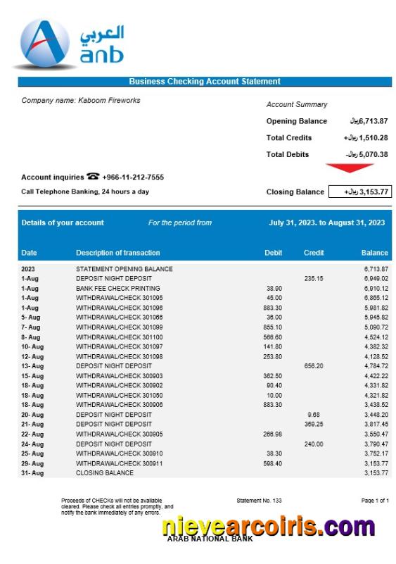 Professional Arab National Bank Company Checking Account Statement Word And PDF Template