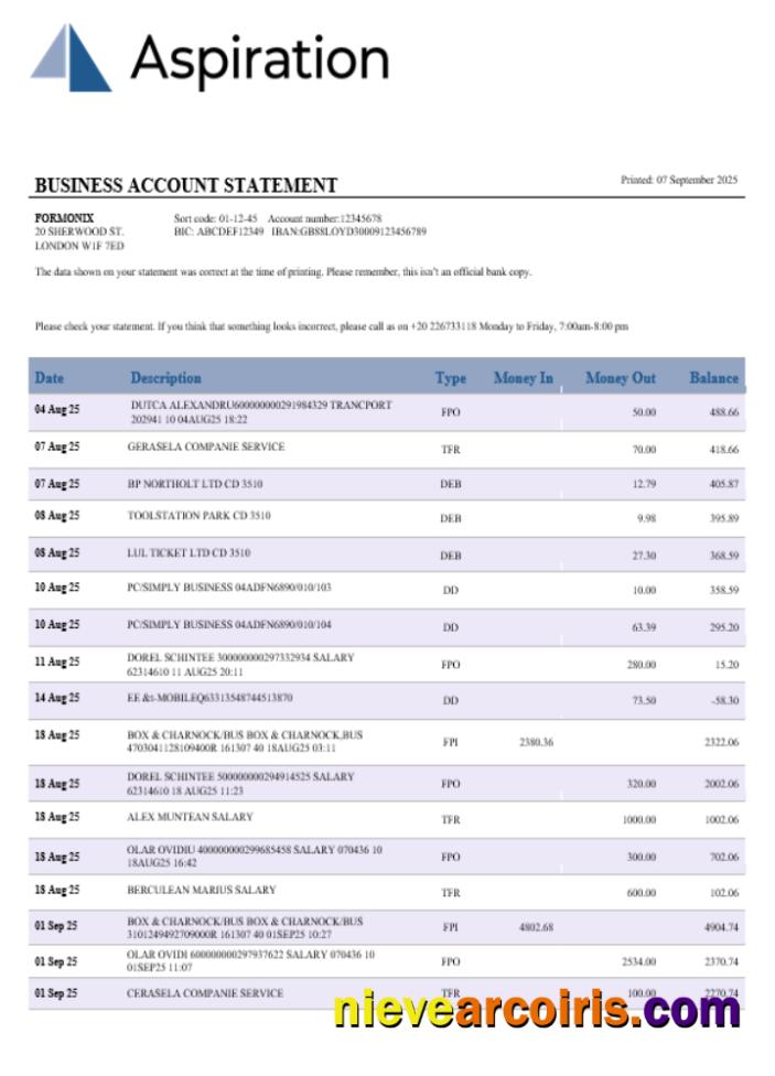 Professional Aspiration Bank Business Account Statement Word And PDF Template