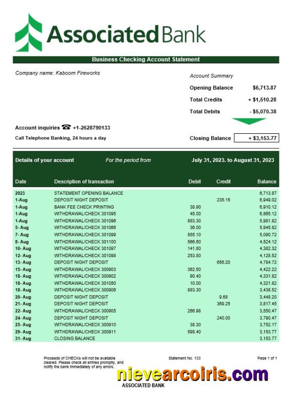 Realistic Associated Bank Business Statement Word And PDF Template