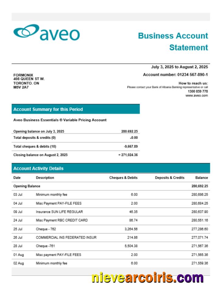 Aveo Business Firm Account Statement Word Snd PDF Format Preview